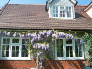 05 Timber Alternative Windows milton keynes